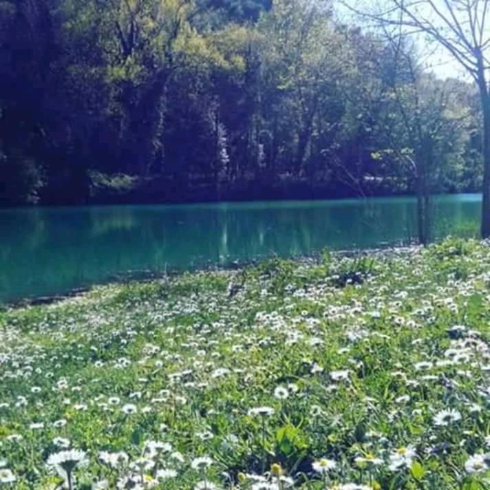 La Mouette Otel Porto San Giorgio Dış mekan fotoğraf